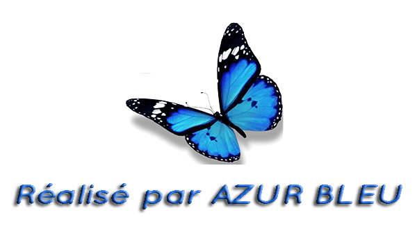 Logo Azur Bleu, création de site internet